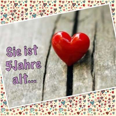 Windhunde - Treffen der besonderen Schönheiten
HERZLICH WILLKOMMEN-Beitrag-Bild