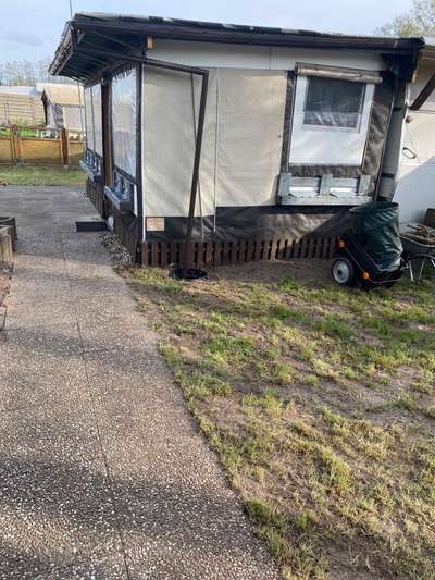 Windhunde - Treffen der besonderen Schönheiten
HERZLICH WILLKOMMEN-Beitrag-Bild