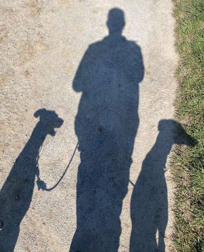 Windhunde - Treffen der besonderen Schönheiten
HERZLICH WILLKOMMEN-Beitrag-Bild