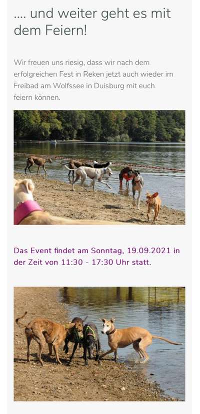 Windhunde - Treffen der besonderen Schönheiten
HERZLICH WILLKOMMEN-Beitrag-Bild