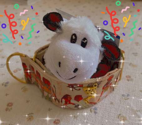 Windhunde - Treffen der besonderen Schönheiten
HERZLICH WILLKOMMEN-Beitrag-Bild