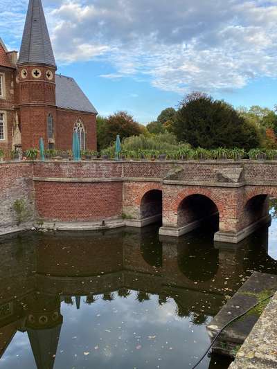 Windhunde - Treffen der besonderen Schönheiten
HERZLICH WILLKOMMEN-Beitrag-Bild