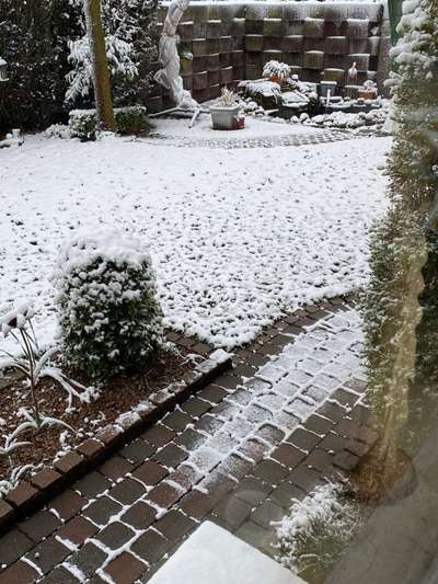 Windhunde - Treffen der besonderen Schönheiten
HERZLICH WILLKOMMEN-Beitrag-Bild