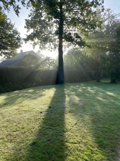 Windhunde - Treffen der besonderen Schönheiten
HERZLICH WILLKOMMEN-Beitrag-Bild
