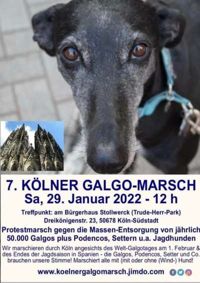 Windhunde - Treffen der besonderen Schönheiten
HERZLICH WILLKOMMEN-Beitrag-Bild