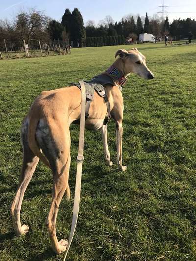 Ist das normal?-Beitrag-Bild