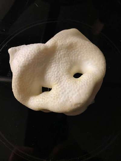 Platinum OralClean+Care Erfahrungen?-Beitrag-Bild