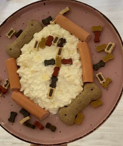 Windhunde - Treffen der besonderen Schönheiten
HERZLICH WILLKOMMEN-Beitrag-Bild