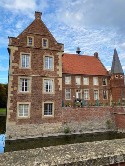 Windhunde - Treffen der besonderen Schönheiten
HERZLICH WILLKOMMEN-Beitrag-Bild