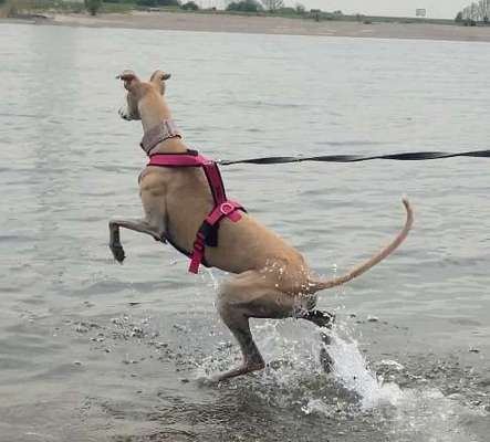 Foto Challenge - BEENDET - bitte aktuelle Challenge nutzen-Beitrag-Bild