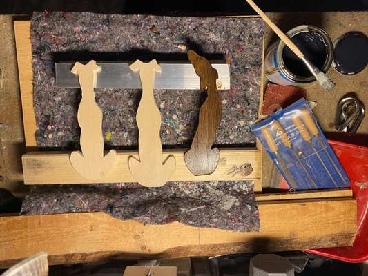 Windhunde - Treffen der besonderen Schönheiten
HERZLICH WILLKOMMEN-Beitrag-Bild