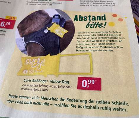 Windhunde - Treffen der besonderen Schönheiten
HERZLICH WILLKOMMEN-Beitrag-Bild