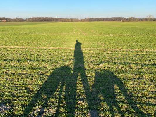 Windhunde - Treffen der besonderen Schönheiten
HERZLICH WILLKOMMEN-Beitrag-Bild