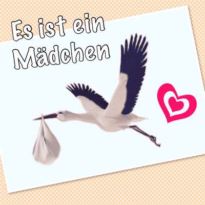 Windhunde - Treffen der besonderen Schönheiten
HERZLICH WILLKOMMEN-Beitrag-Bild