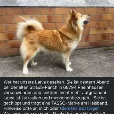 Suchmeldung-Læva-Bild