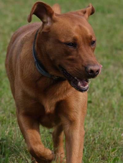 Lieblingsbild :D-Beitrag-Bild