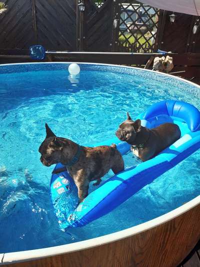 FOTOCHALLANGE NR.71 BADEFREUDE-Beitrag-Bild