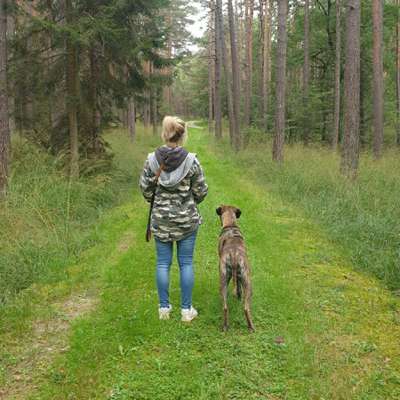 Hundetreffen-Gassi/Spielen-Profilbild