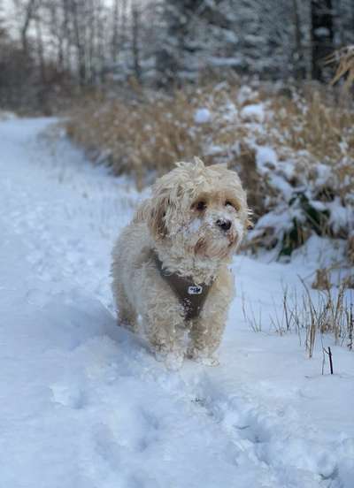 Fotochallange Nr. 57     PORTRÄT.   Beendet!!!!!!!!-Beitrag-Bild