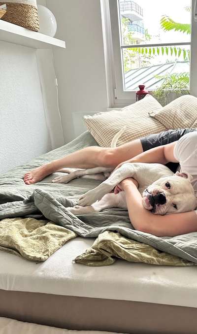 Darf der Hund bei Euch im Bett schlafen?-Beitrag-Bild