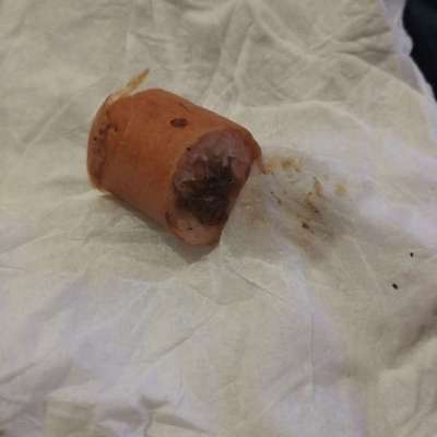 Giftköder-Wurststück mit Paste-Bild