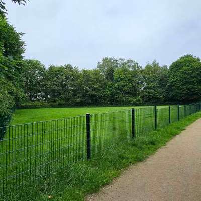 Hundeauslaufgebiet-Hundewiese Saarner Str./Böllerts Höfe-Bild