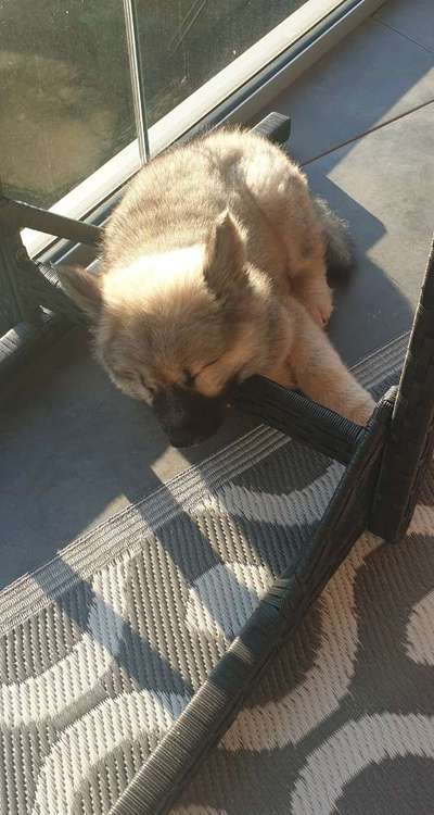 Die unbequemsten und lustigsten Schlafpositionen-Beitrag-Bild