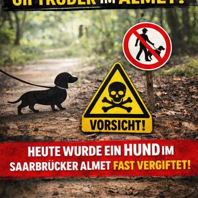 Giftköder-Giftköder im Saarbrücker Almet-Bild