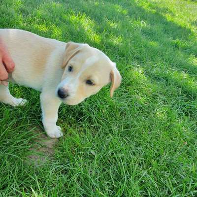 Sie werden so schnell erwachsen ...-Beitrag-Bild