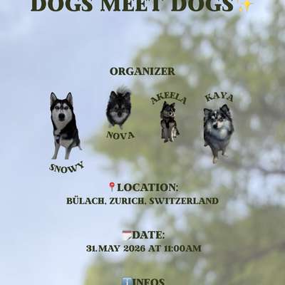 Hundetreffen-🐾DOGS MEET DOGS🐾-Bild
