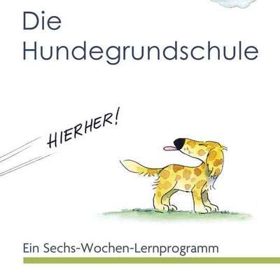 Bisher untrainierten Hund erziehen - Tipps und Ideen?-Beitrag-Bild
