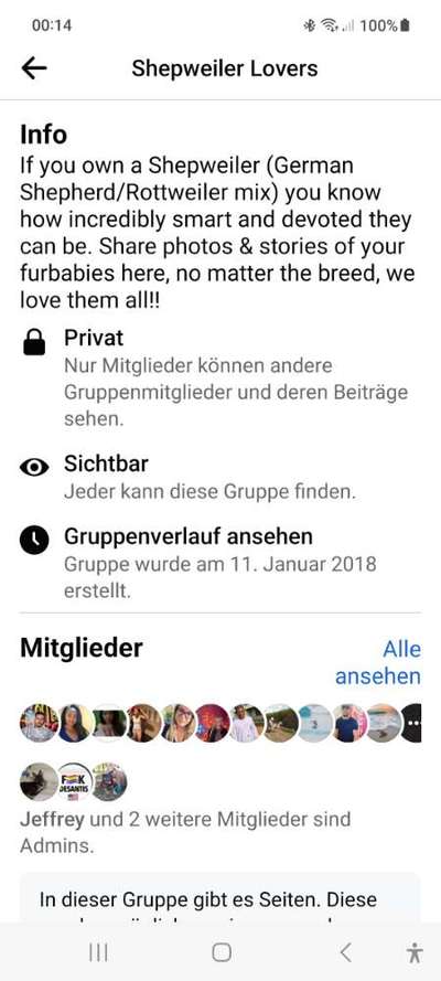 Shepweiler Schäferhund x Rottweiler-Beitrag-Bild