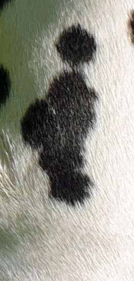 Blick fürs Detail!-Beitrag-Bild