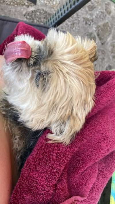 Zeigt mir die tollste Nahaufnahme von eurer Fellnase-Beitrag-Bild