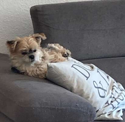 Fotochallenge Nr. 56 - geliebte Senioren-Beitrag-Bild