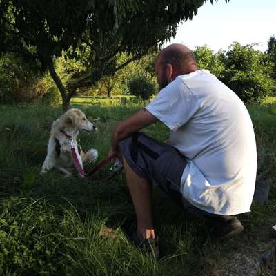 Hundetreffen-Treff am Cossi