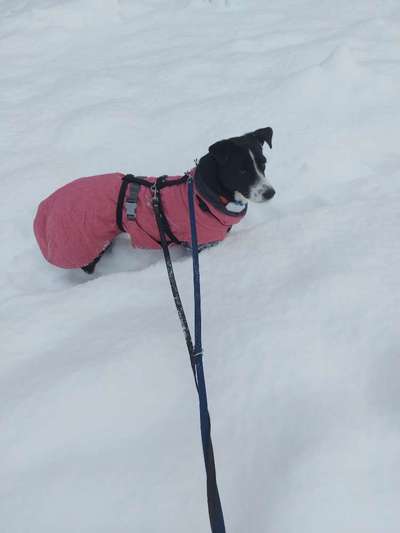 Wintermäntel bzw. Was fürn Übergang-Beitrag-Bild
