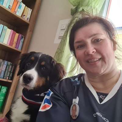 Hundetreffen-Spielen und spazieren-Profilbild