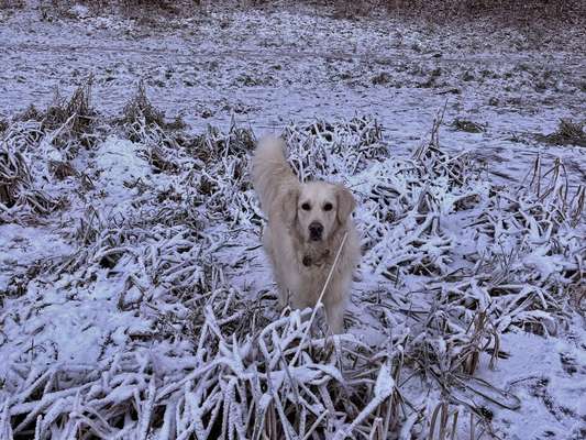 Ton in Ton-Beitrag-Bild