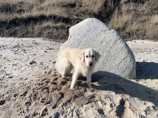 Ton in Ton-Beitrag-Bild