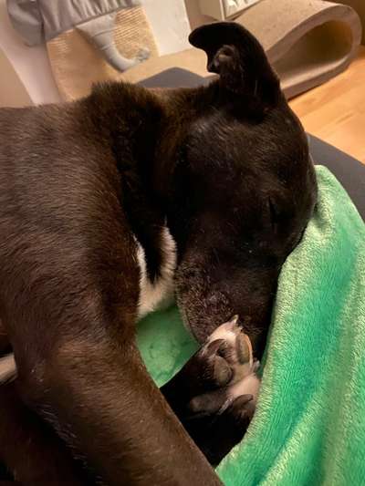 FOTO-Challenge  NR. 91: Die pure Entspannung-Beitrag-Bild