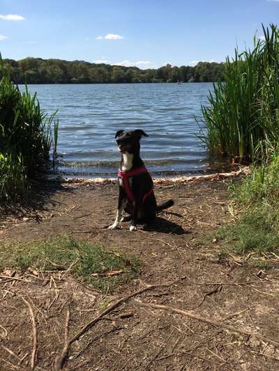 Fotochallenge Nr. 94 It's summer time-Beitrag-Bild