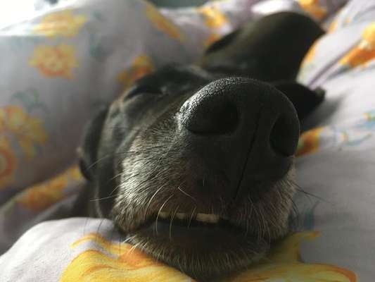 Fotochallenge Nr. 67: Euer Lieblingsbild-Beitrag-Bild