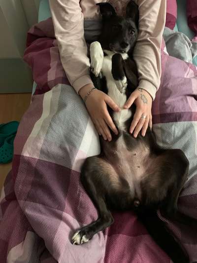 Fotochallenge Nr.65-Beitrag-Bild