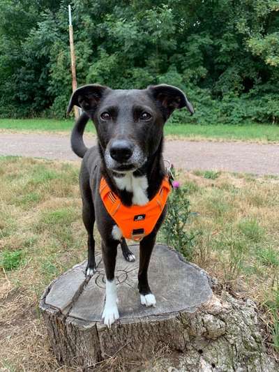 Doppelgänger gesucht !-Beitrag-Bild