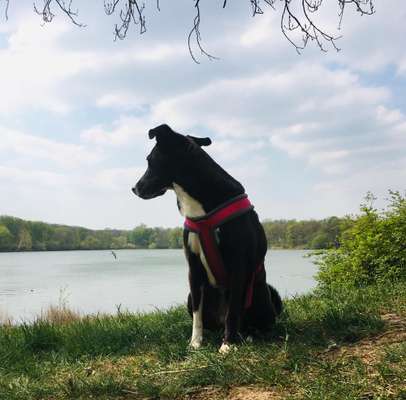 FOTOCHALLENGE 86-Beitrag-Bild