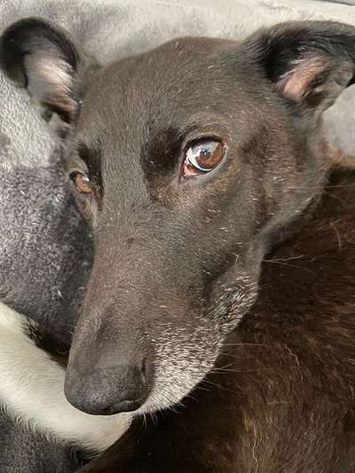 Fotochallange Nr. 57     PORTRÄT.   Beendet!!!!!!!!-Beitrag-Bild