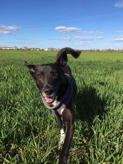 Handy-foto Challange nr. 11-Beitrag-Bild