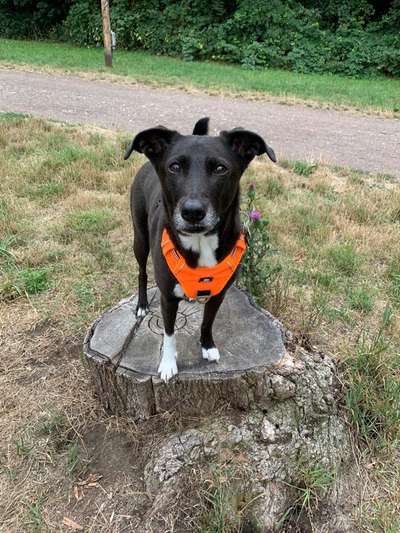 Doppelgänger gesucht !-Beitrag-Bild