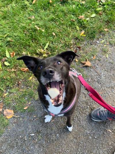 Von oben-Beitrag-Bild